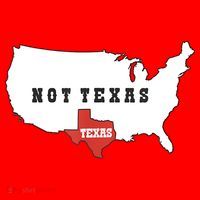 Texas And The Quote No Texas Santa Hat thumb 1