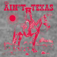 This AinT Texas  Cowgirl Toddler Hoodie thumb 2