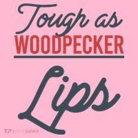 Tough As Woodpecker Lips Bird Animal Nature Coaster thumb 2