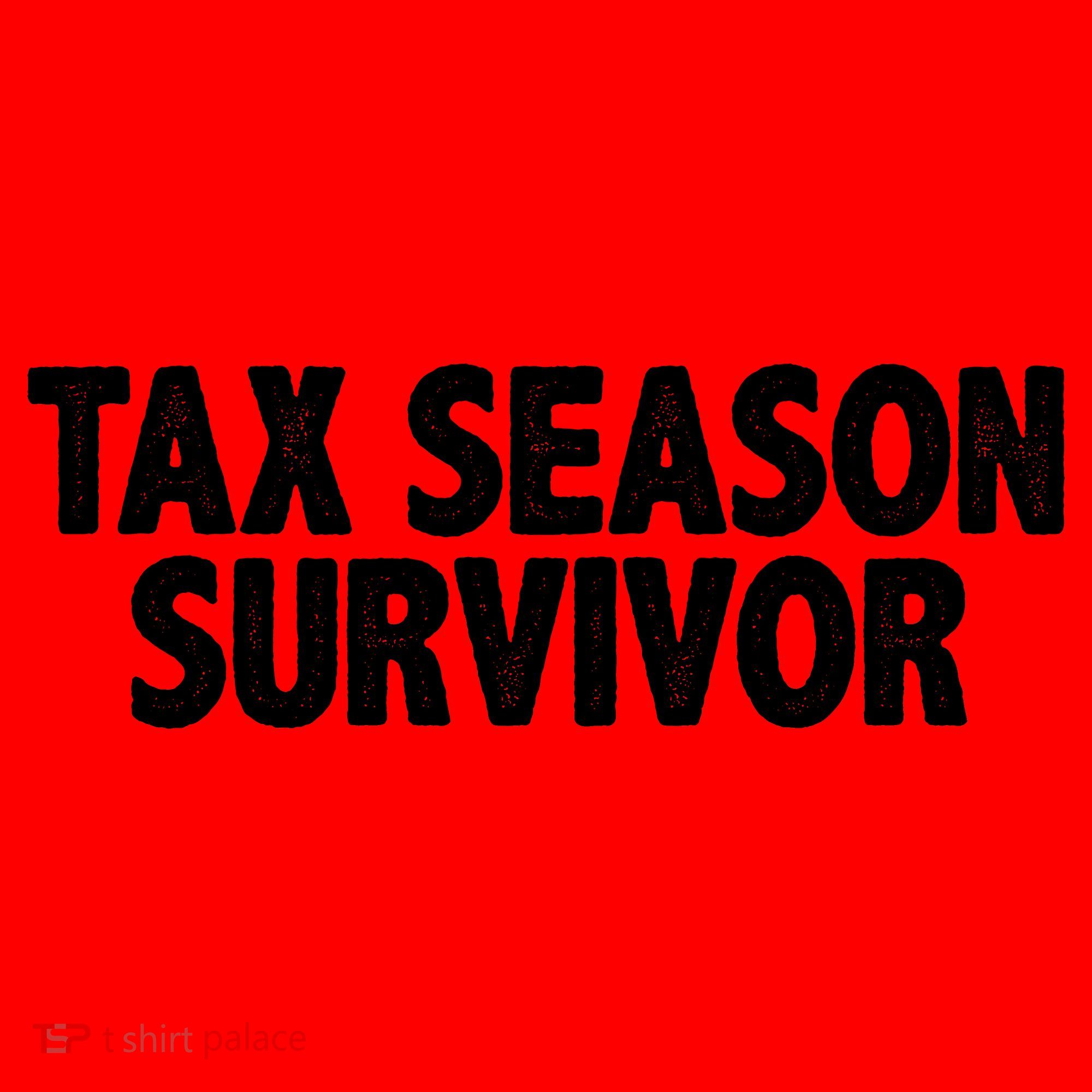 Tax Season Survivor Santa Hat