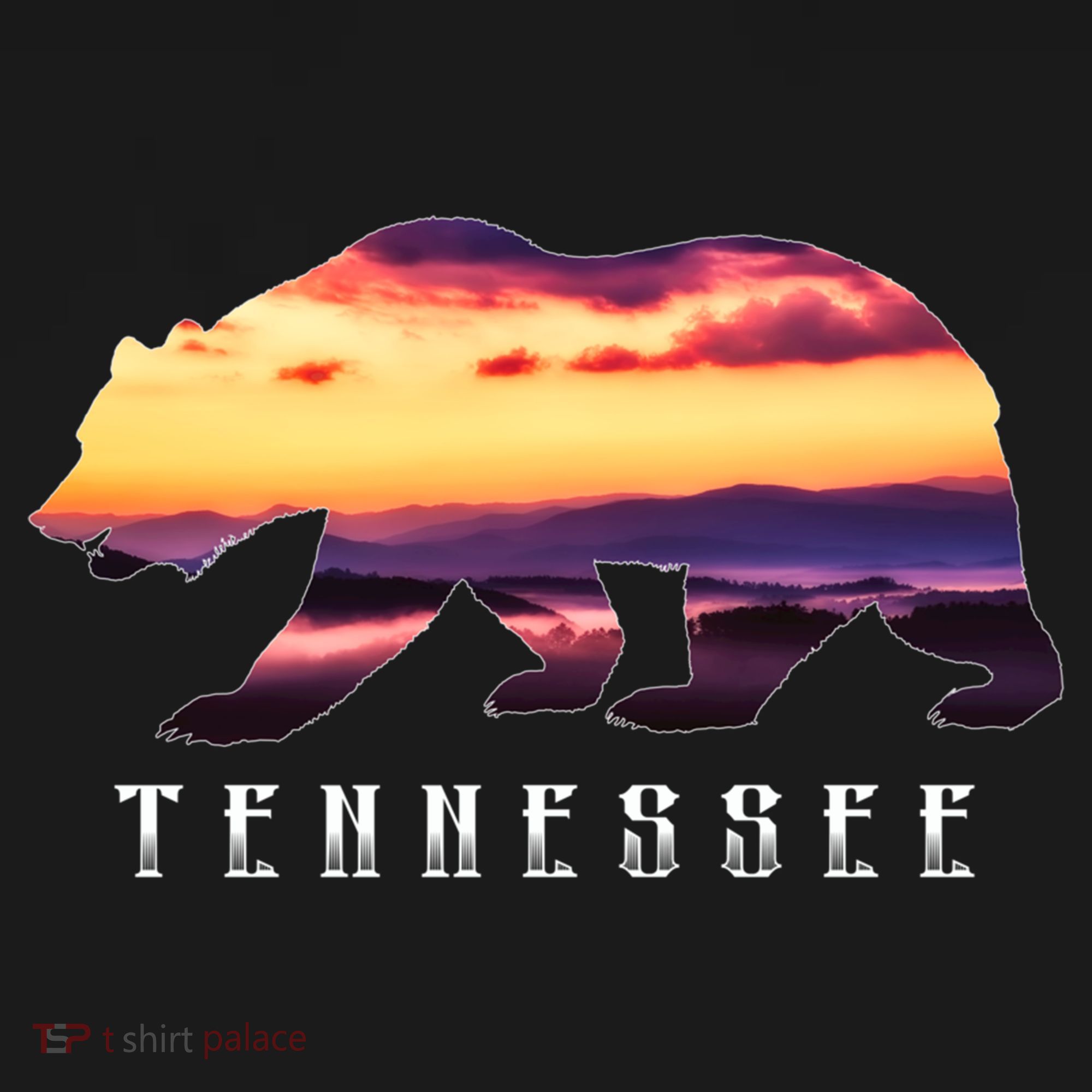 Tennessee Bear And Great Smoky Mountains Park Image Souvenir Gift Women's Hoodie