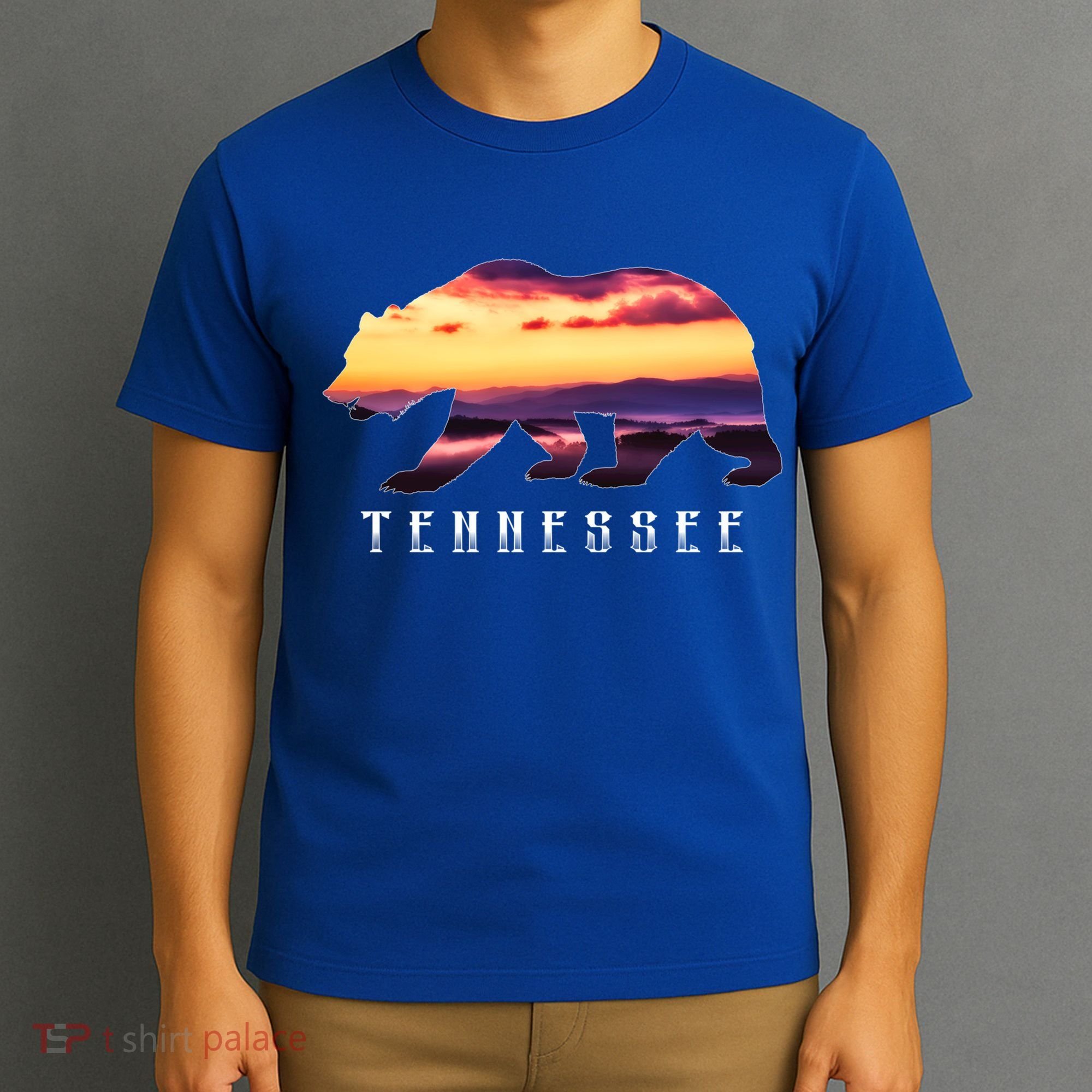 Tennessee Bear And Great Smoky Mountains Park Image Souvenir Gift T-Shirt