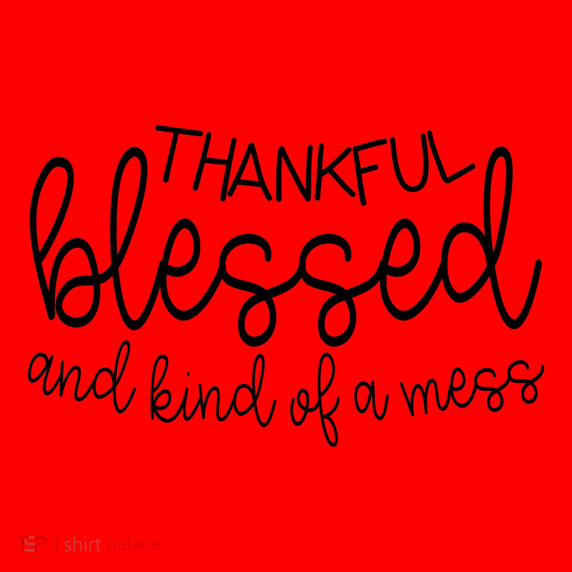 Thankful Blessed And Kind Of A Mess Funny Santa Hat