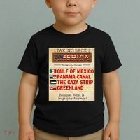 Taking Back America Meme Geography Fail Funny Gulf Of Mexico Toddler T-Shirt thumb 2