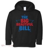 The Big Beautiful Bill Toddler Hoodie thumb 0