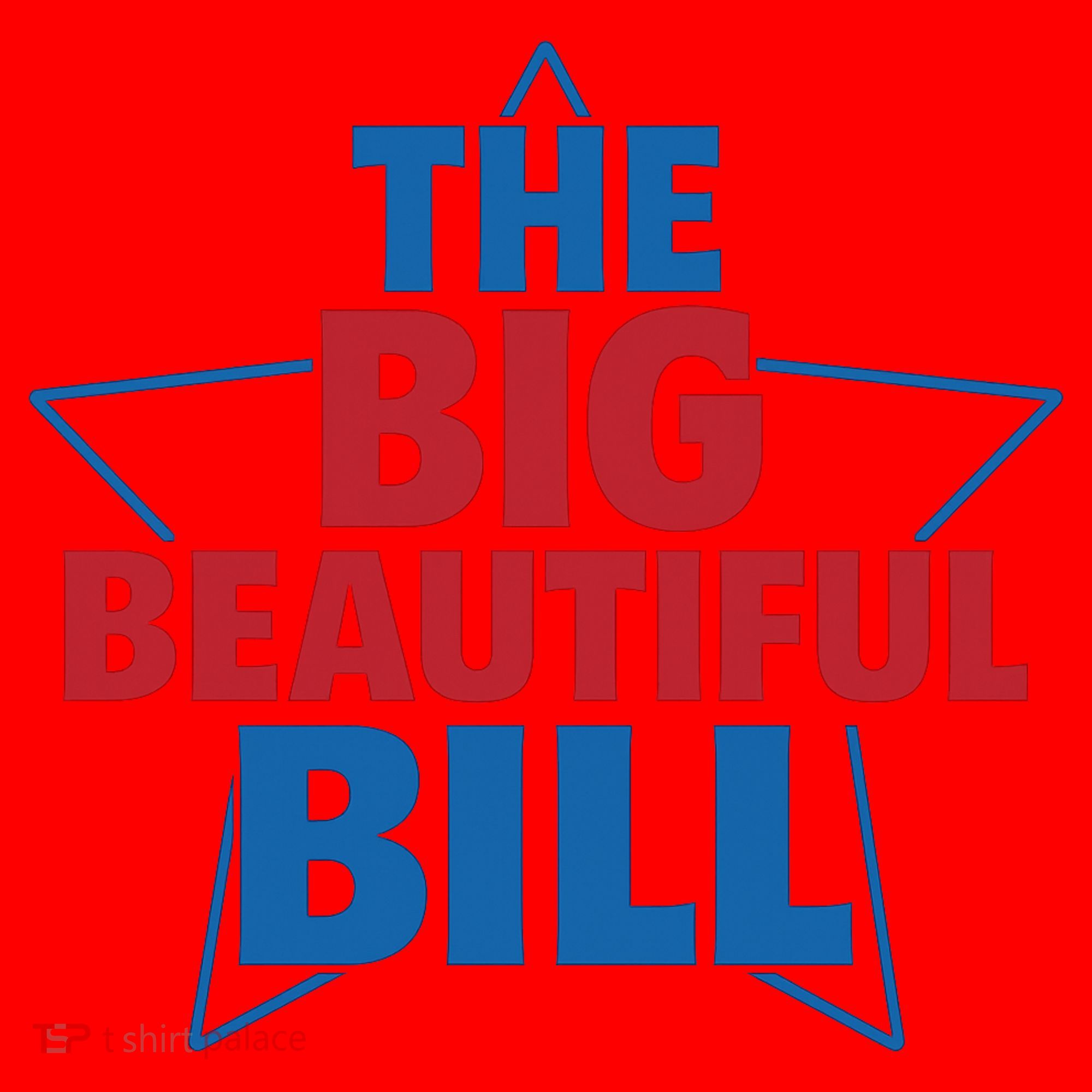 The Big Beautiful Bill Santa Hat