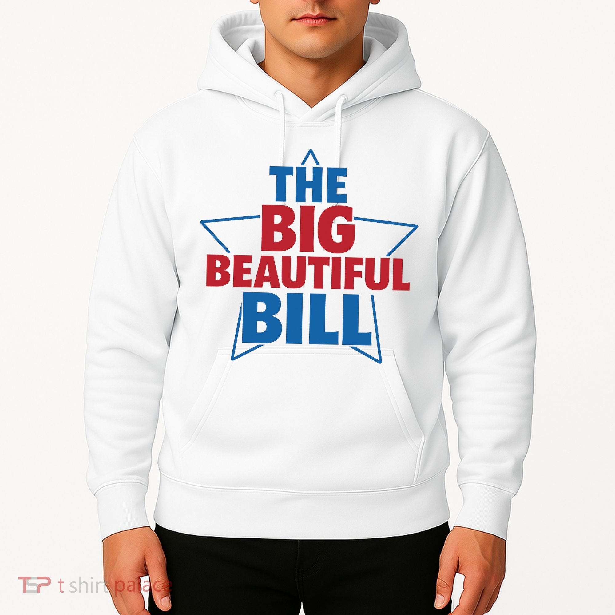 The Big Beautiful Bill Hoodie