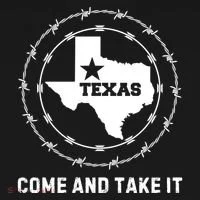 Texas Border Crisis Come And Take It Toddler Hoodie thumb 2