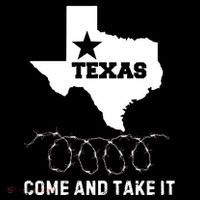 Texas Border Crisis Come And Take It Ornament thumb 1