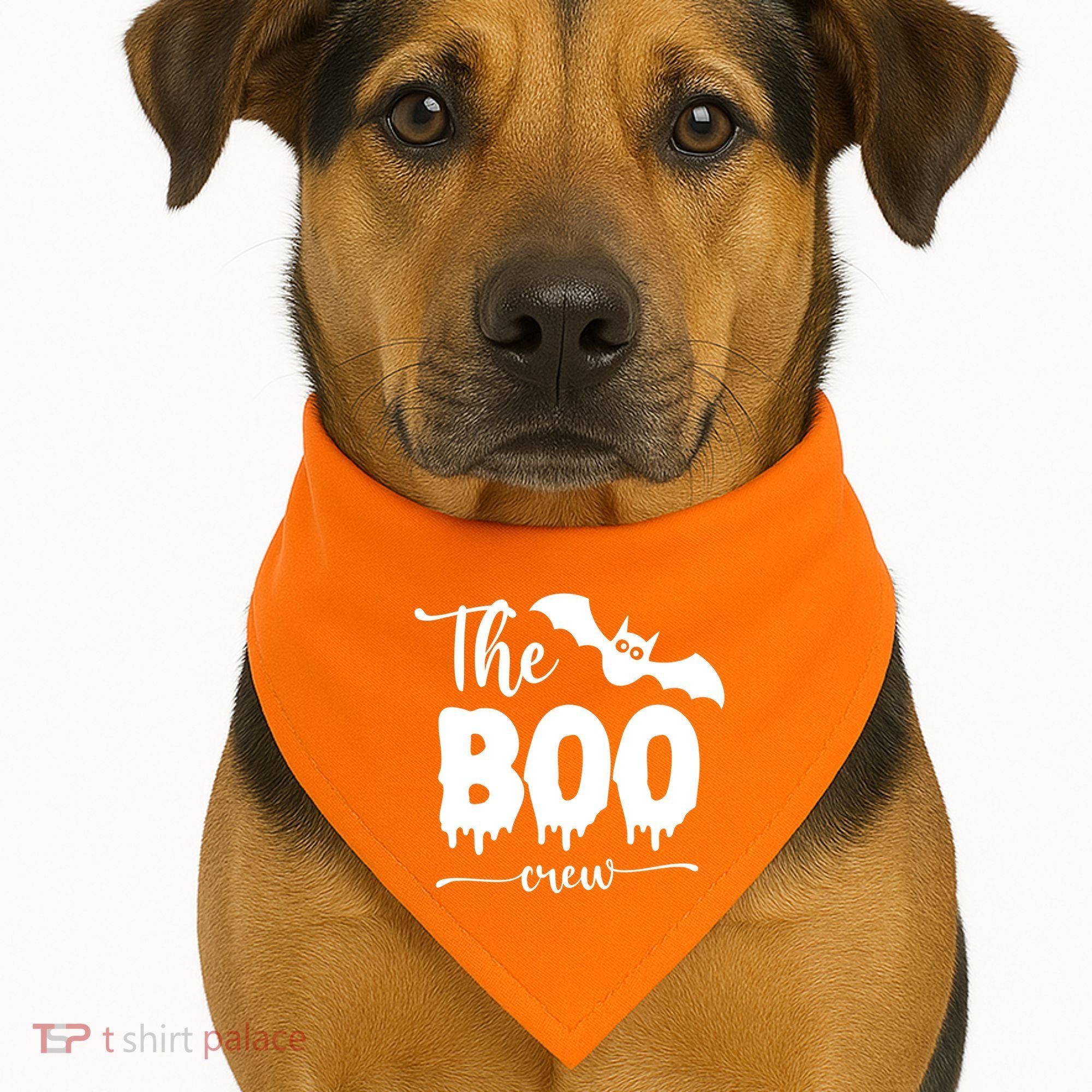 The Boo Crew Haloween Matching USA-Made Doggie Bandana