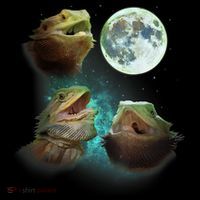 Three Bearded Dragons Howl At Moon 3 Wolfs Wolves Parody Mousepad thumb 1