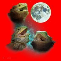 Three Bearded Dragons Howl At Moon 3 Wolfs Wolves Parody Santa Hat thumb 1