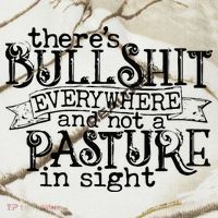 There’s Bullshit Everywhere And Not A Pasture In Sight Quote Kati Licensed 12" Camo Cuffed Beanie thumb 2