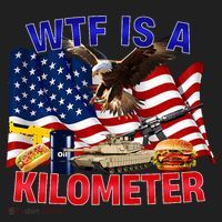 The Bald Eagle American Flag Wtf Is A Kilometer Women's Sweatshirt thumb 2