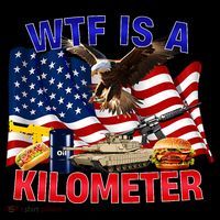 The Bald Eagle American Flag Wtf Is A Kilometer Women's Hoodie thumb 2