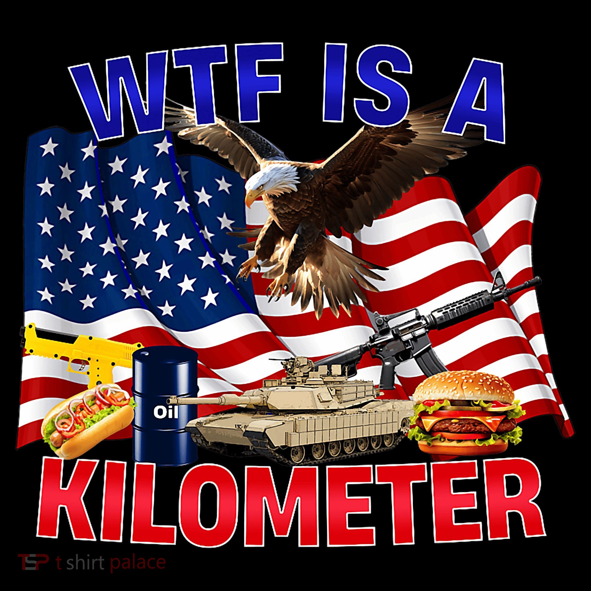The Bald Eagle American Flag Wtf Is A Kilometer Women's Hoodie