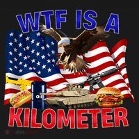 The Bald Eagle American Flag Wtf Is A Kilometer Women's T-Shirt thumb 6