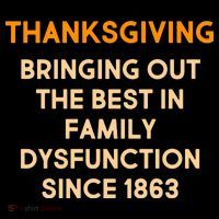 Thanksgiving Bringing Family Dysfunction Since 1863 Toddler T-Shirt thumb 4