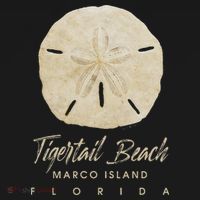 Tigertail Beach Florida Shelling Gift Souvenir Sand Dollar Visor thumb 3