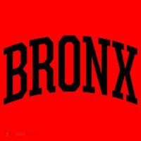 The Bronx Gift New York City Nyc Bronx Gift Hooded Santa Hat thumb 1