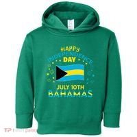 The Bahamas Independence Day Bahamian Pride The Bahamas Flag Toddler Hoodie thumb 0