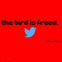 The Bird Is Freed Musk Quote Santa Hat thumb 1