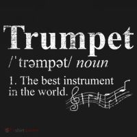 The Best Instrut In The World Definition Trumpet Gift Women's Hoodie thumb 2