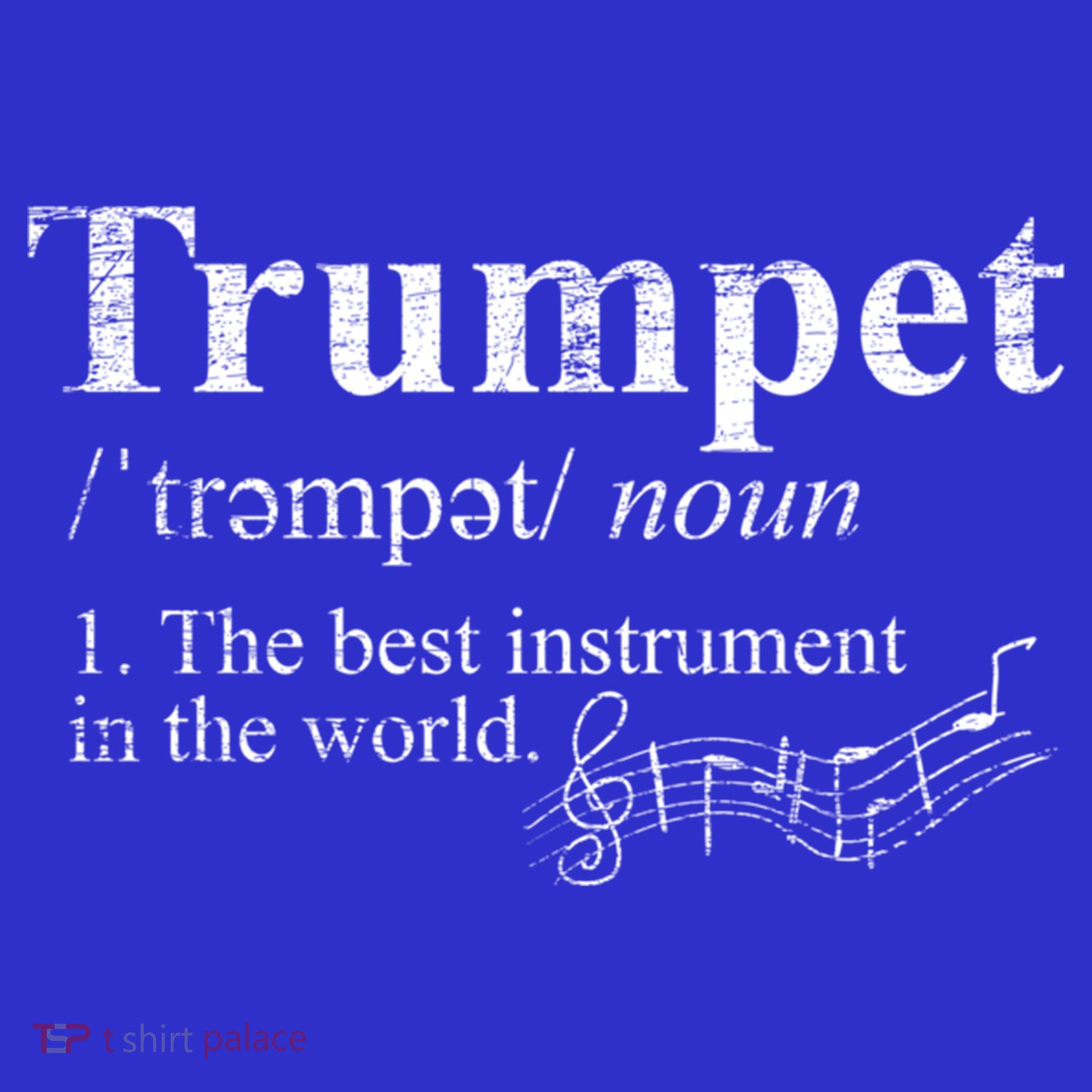 The Best Instrut In The World Definition Trumpet Gift Hoodie