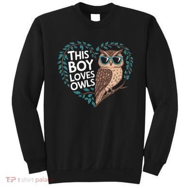 This Boy Loves Owls Cute Owl Valentines Day Sweatshirt
