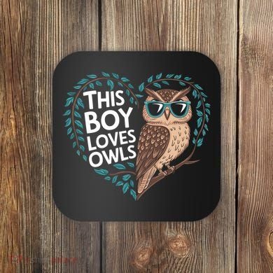 This Boy Loves Owls Cute Owl Valentines Day Coaster