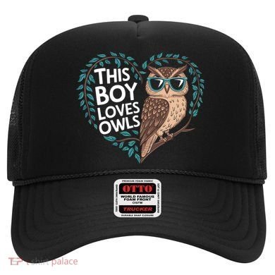 This Boy Loves Owls Cute Owl Valentines Day Hat
