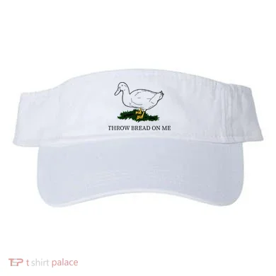 Visor