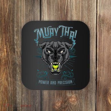 Thai Boxing Power And Precision Muay Thai And Panther Coaster
