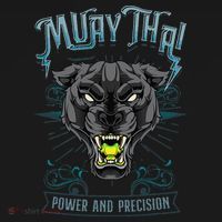 Thai Boxing Power And Precision Muay Thai And Panther Coaster thumb 2