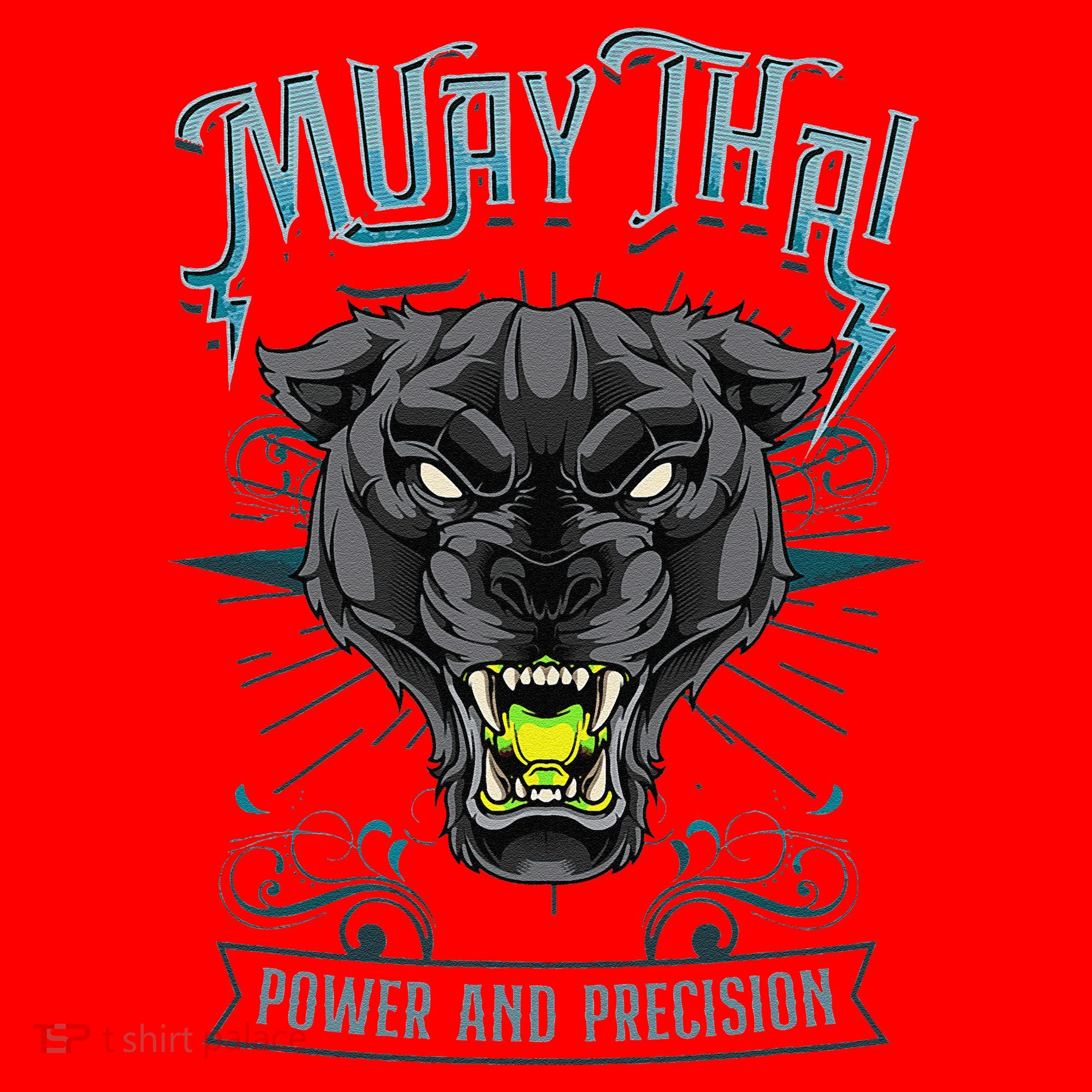 Thai Boxing Power And Precision Muay Thai And Panther Santa Hat