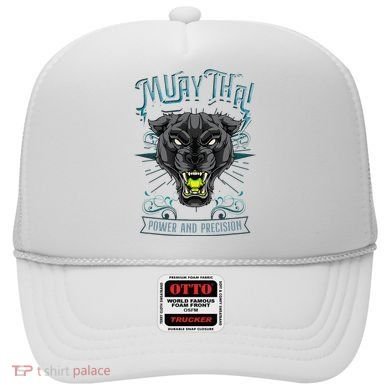 Thai Boxing Power And Precision Muay Thai And Panther Hat