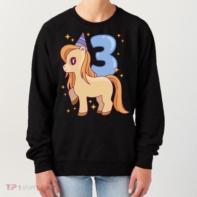 Third Birthday Pony Gift Women's Sweatshirt