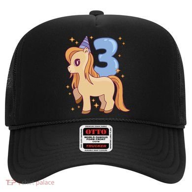 Third Birthday Pony Gift Hat