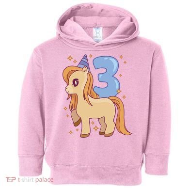Third Birthday Pony Gift Toddler Hoodie