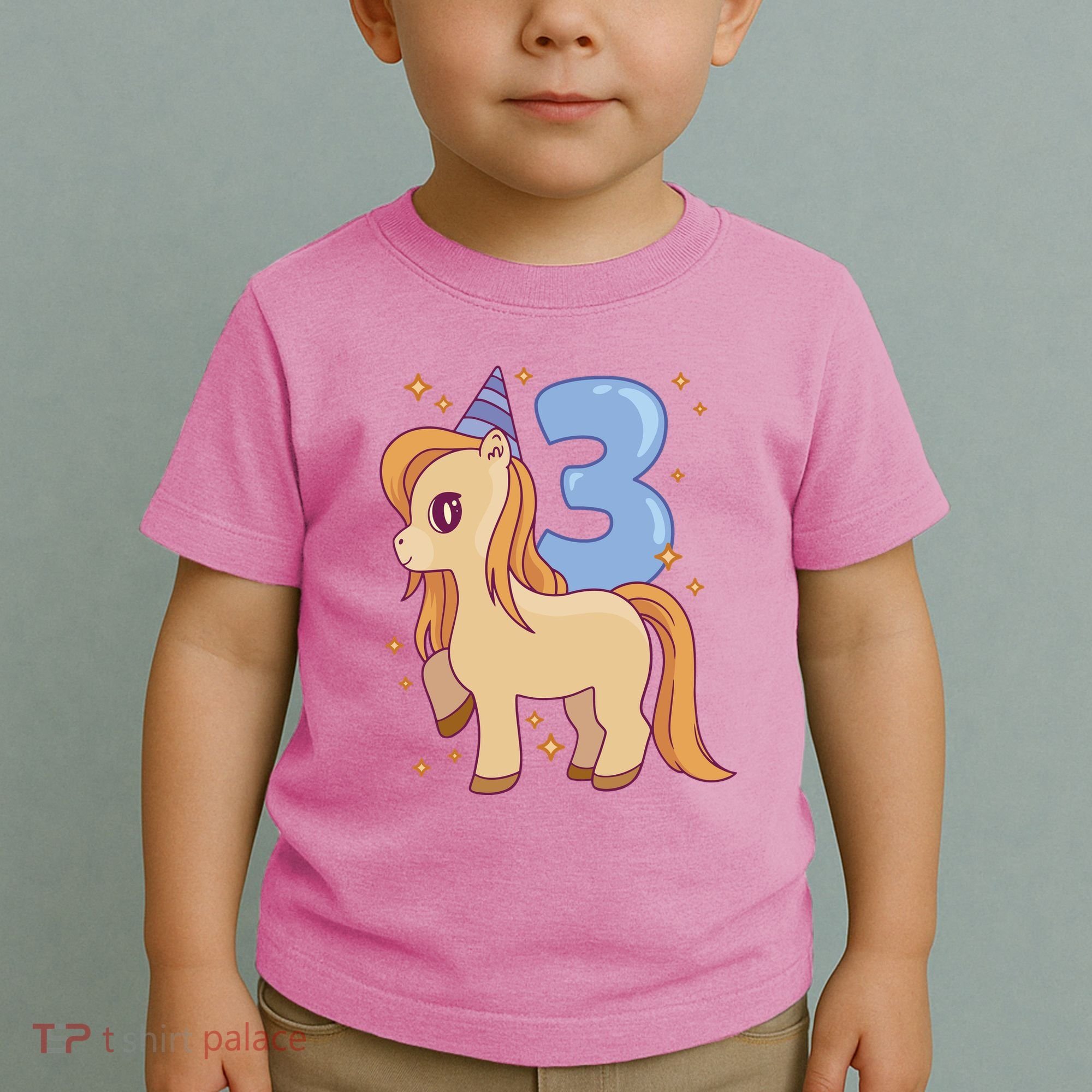 Third Birthday Pony Gift Toddler T-Shirt