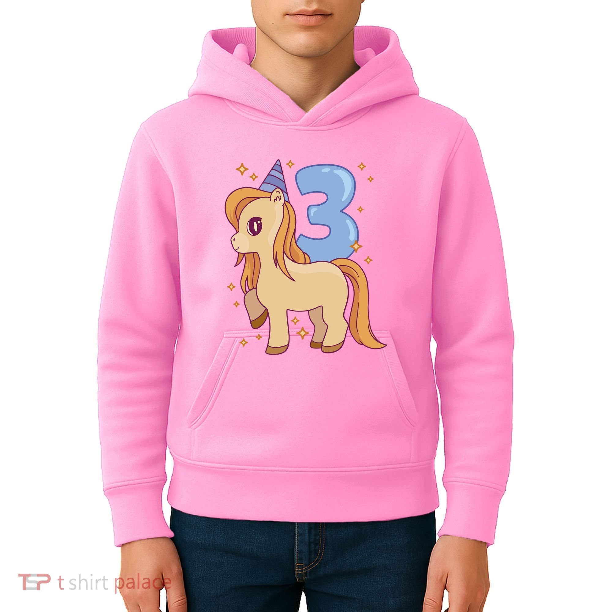 Third Birthday Pony Gift Kids Hoodie