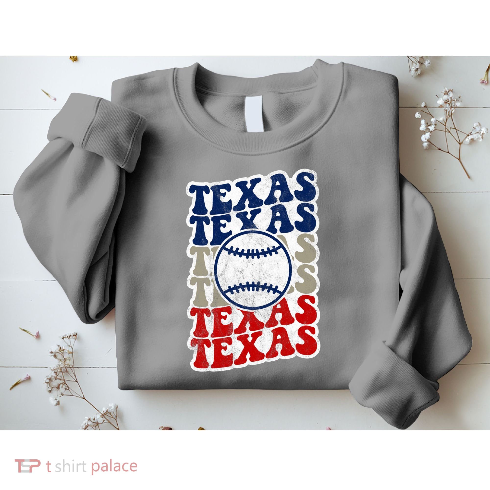 Texas Baseball Retro Sport Sweatshirt