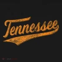 Tennessee Baseball Sports Script Cursive Flag Swoosh Toddler Hoodie thumb 2