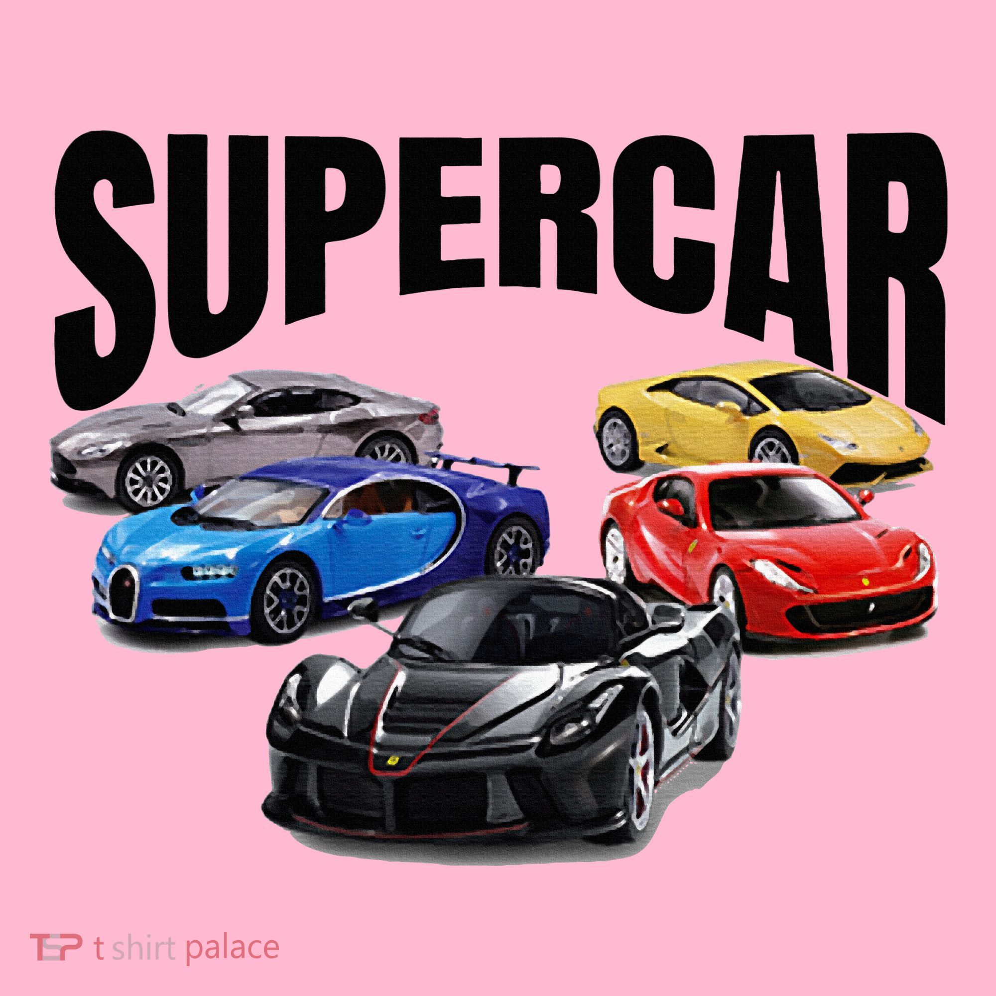 The Best Supercar Racing Fan On The Planet Coaster