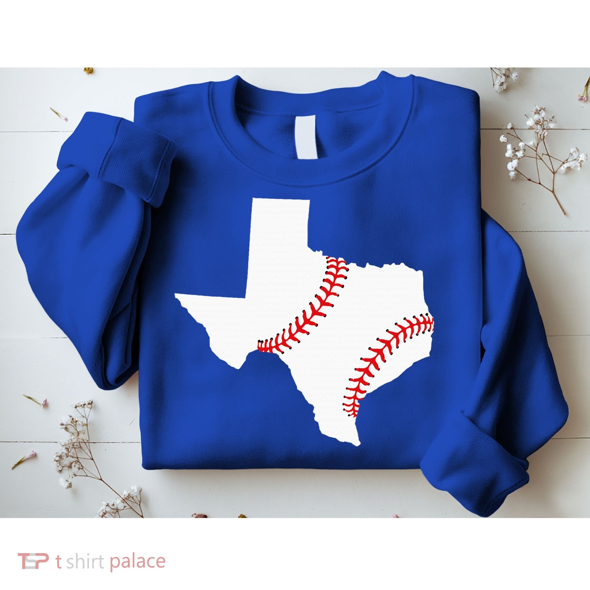 Texas Baseball State Funny Texas Baseball Sweatshirt