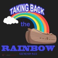 Taking Back The Rainbow Christian Jesus Rainbow Ship Beanie thumb 2