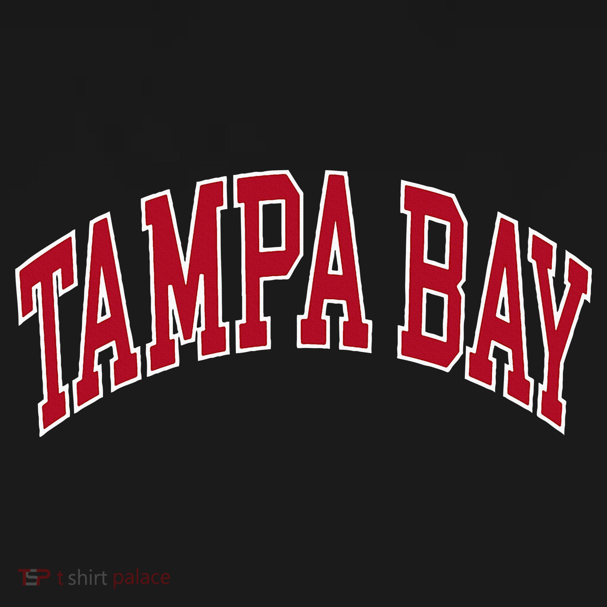 Tampa Bay T-Shirt