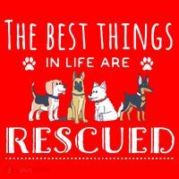 The Best Things In Life Are Rescued Dog Rescue Santa Hat thumb 1