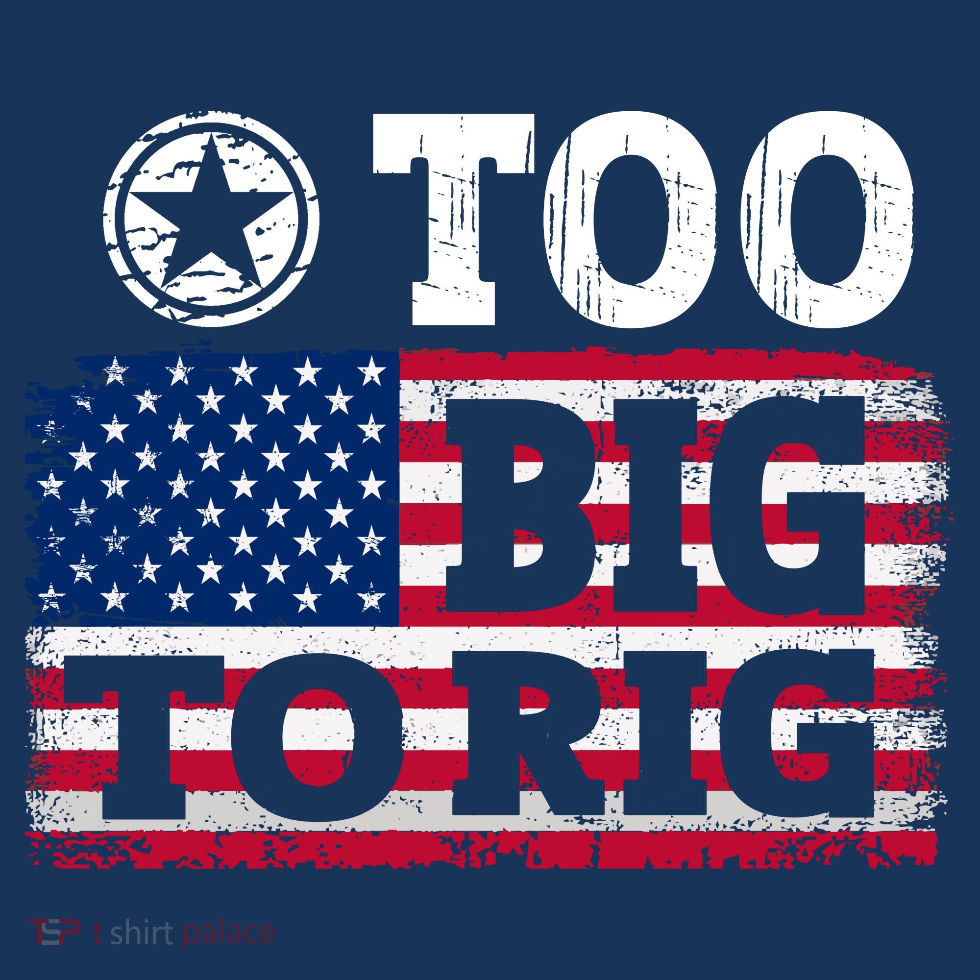Too Big To Rig Saying Trump 2024 Women's Hoodie