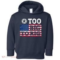 Too Big To Rig Saying Trump 2024 Toddler Hoodie thumb 0